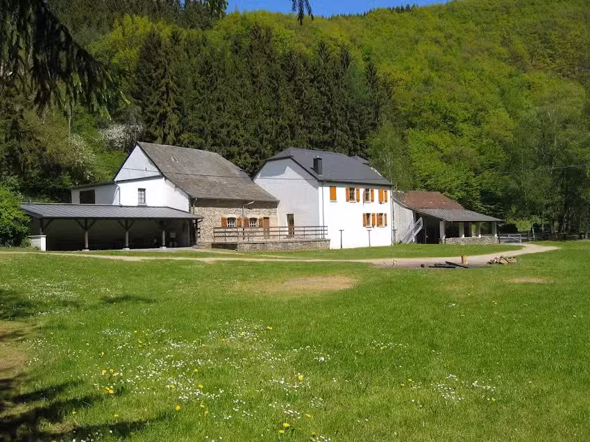 Eulencamp – freundlich