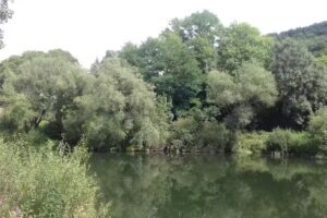 Hotel-Café de la Sûre