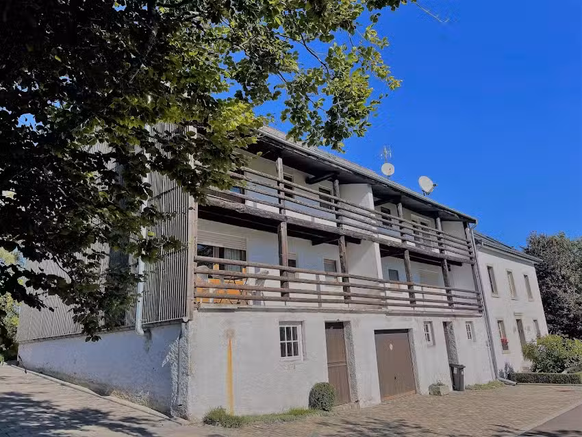 As Bétulas (Juliette Majerus)