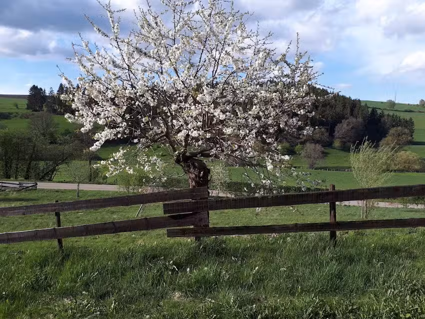 Maison de vacances « Beim Hengchen »