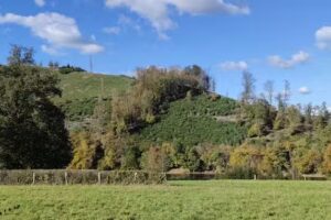 SCHARTZ-SCHNELL NICO